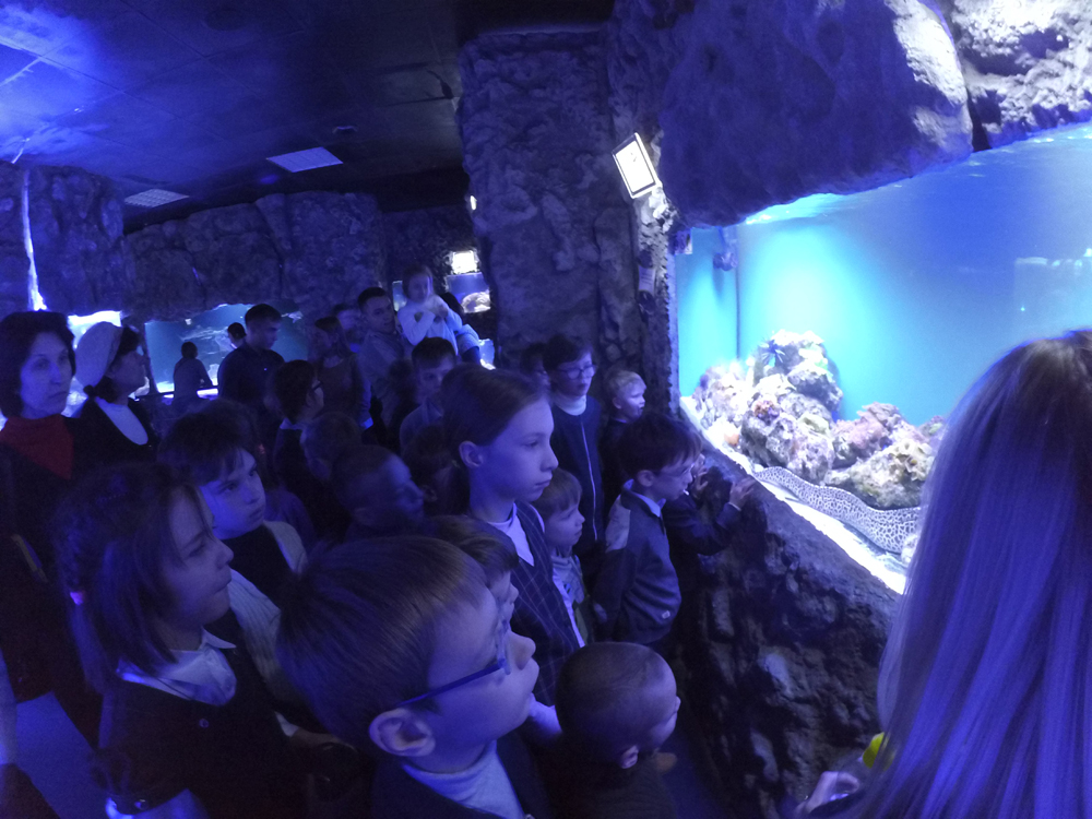 Океанариум Океанариум