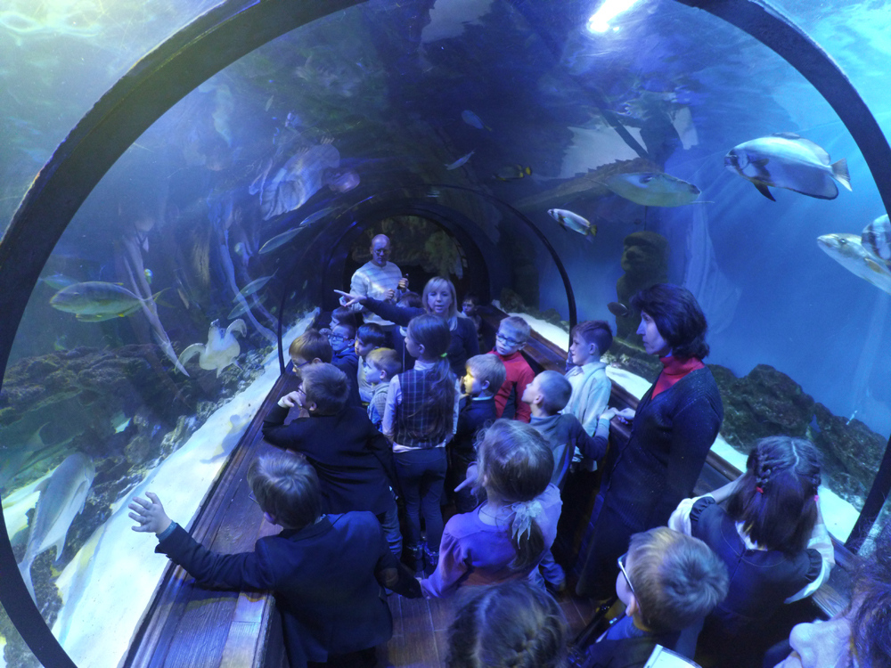 Океанариум Океанариум