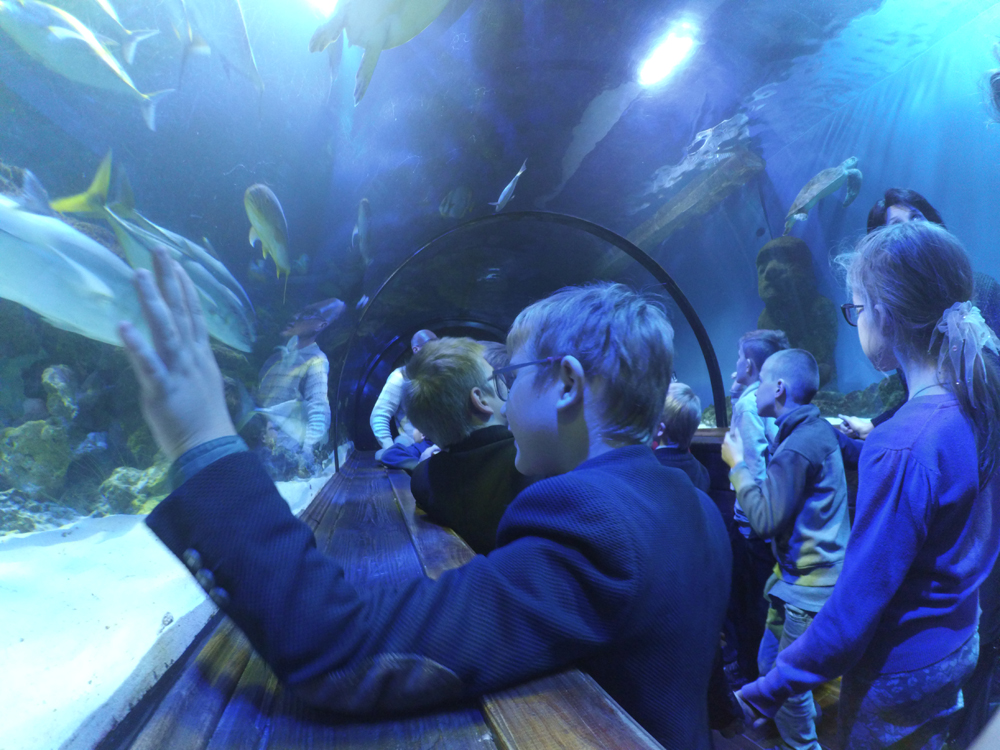 Океанариум Океанариум